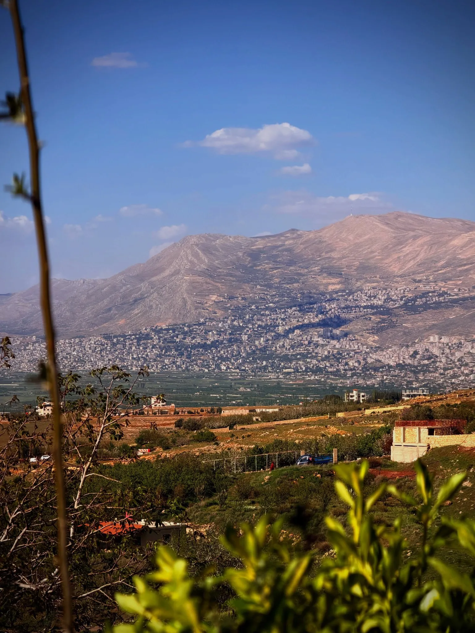 نبع أو بستان