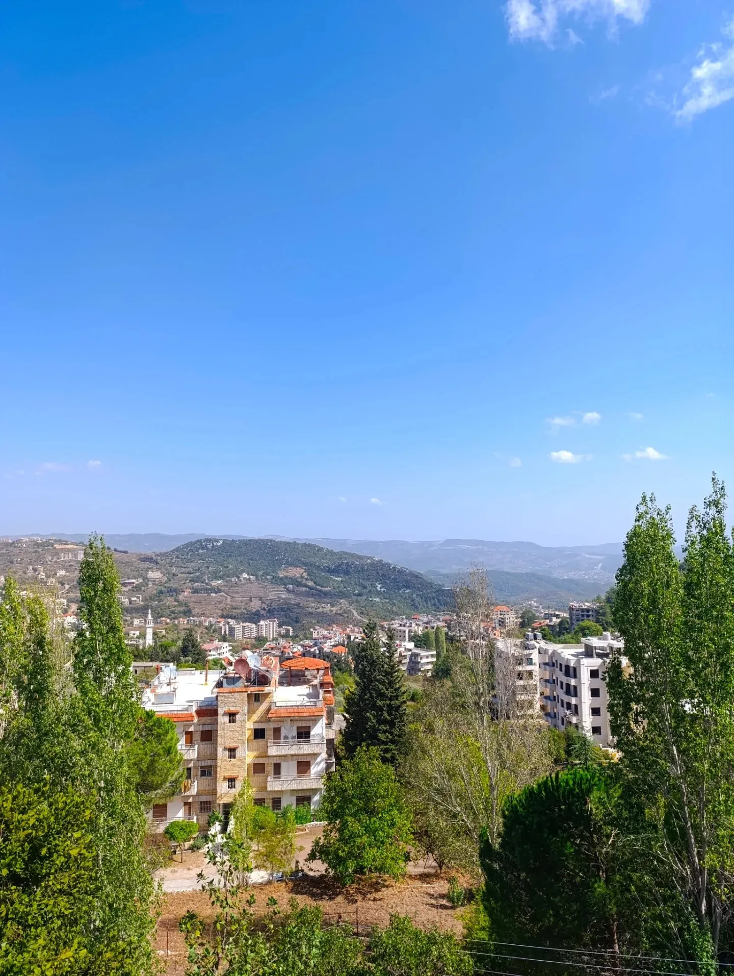 نبع أو بستان